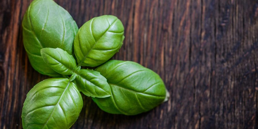 Close-up of fresh green basil leaves on a rustic wooden surface.